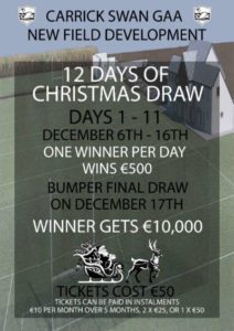 Swan 12 Days Of Christmas Draw
