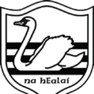 Carrick Swan GAA Club, Carrick On Suir